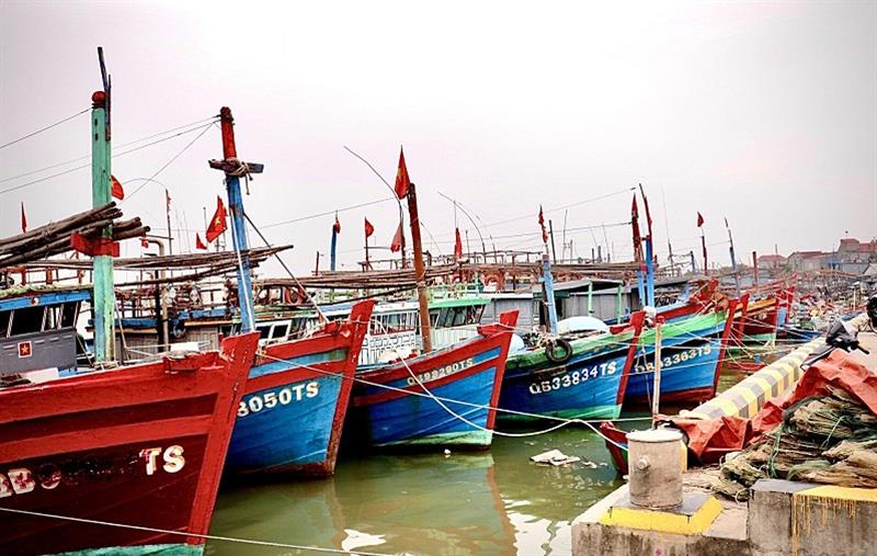 Tàu cá của ngư dân xã Cảnh Dương, huyện Quảng Trạch, Quảng Bình.