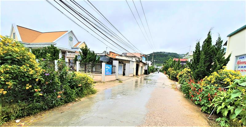 Hầu hết các con đường nông thôn xã Lạc Lâm (Đơn Dương) đều được nhựa hóa và trồng hoa tươi. Ảnh Thanh Dương Hồng.