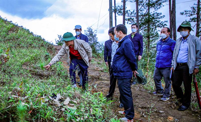 Đồng chí Trần Văn Hiệp, Phó Bí thư Tỉnh uỷ, Chủ tịch UBND tỉnh kiểm tra thực trạng công tác bảo vệ và trồng rừng tại huyện Lạc Dương