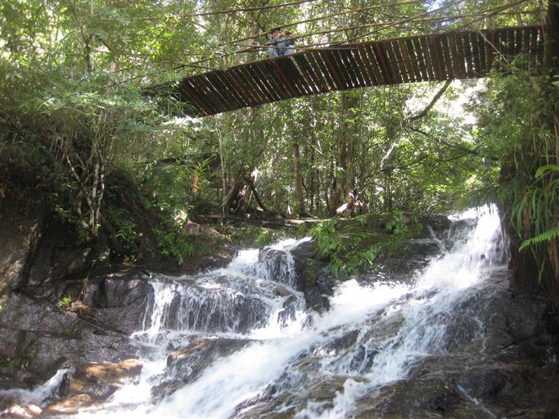 Vườn Quốc gia Bidoup -Núi Bà được chính phủ Nhật đầu tư vào các lĩnh vực bảo vệ môi trường, tạo sinh kế cho người dân . Ảnh. Thanh Hồng .
