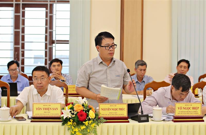 Đồng chí Nguyễn Ngọc Phúc - Phó Chủ tịch UBND tỉnh phát biểu.
