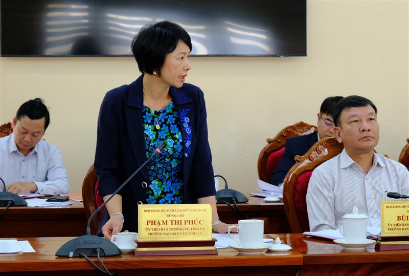 Đồng chí Phạm Thị Phúc - Ủy viên Ban Thường vụ, Trưởng Ban Dân vận Tỉnh ủy phát biểu ý kiến tại phiên họp.
