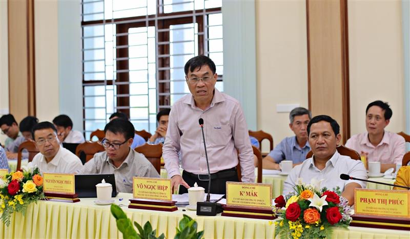 Đồng chí Võ Ngọc Hiệp - Phó Chủ tịch UBND tỉnh phát biểu tại buổi làm việc.